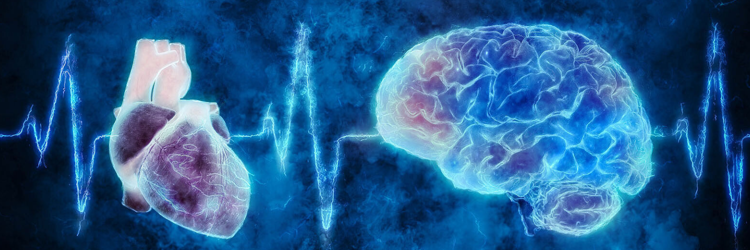 Heart Attack vs. Stroke: Key Differences, Long-Term Effects, and Natural Prevention Tips